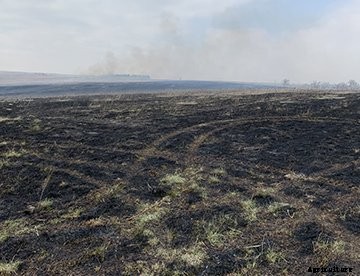 After a Flint Hills burn